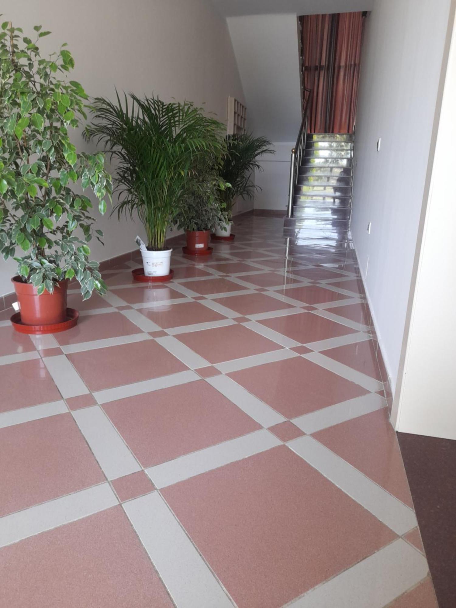 Apartment Aldesa *